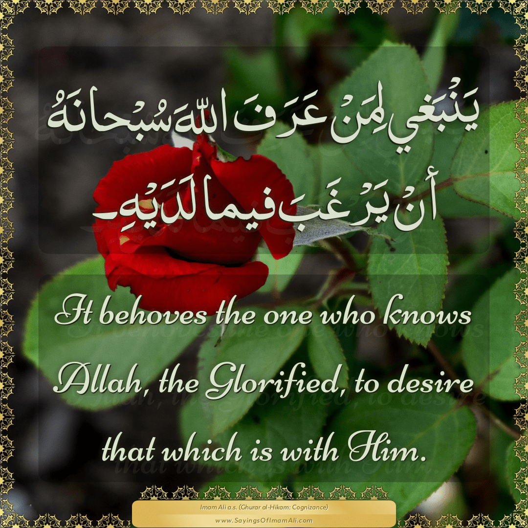 It behoves the one who knows Allah, the Glorified, to desire that which is...